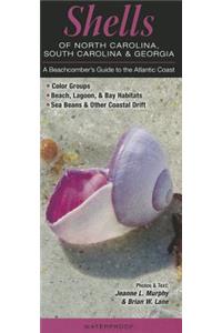 Shells of North Carolina, South Carolina & Georgia