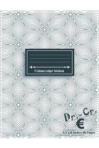 5 Column Ledger Notebook