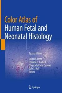 Color Atlas of Human Fetal and Neonatal Histology