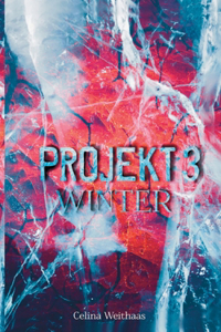 Winter: Projekt III