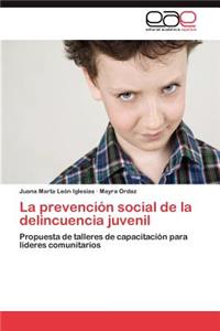Prevencion Social de La Delincuencia Juvenil