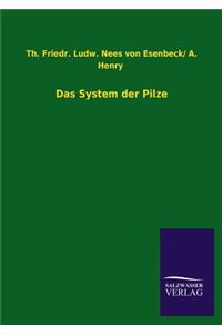 System der Pilze