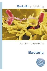 Bacteria