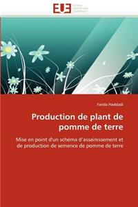 Production de Plant de Pomme de Terre