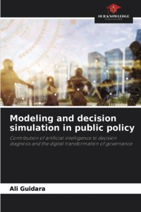 Modeling and decision simulation in public policy