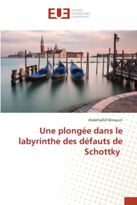 plongée dans le labyrinthe des défauts de Schottky