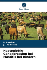 Haptoglobin-Genexpression bei Mastitis bei Rindern