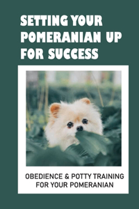 Pomeranian Puppy Training