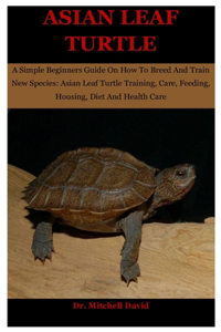Asian Leaf Turtle