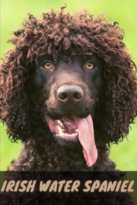 Irish Water Spaniel