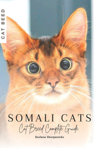 Somali Cats