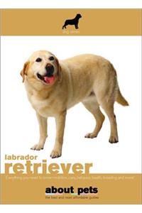 Labrador Retriever (About Pets)