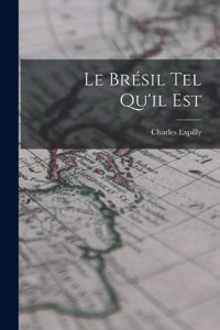 Brésil Tel Qu'il Est