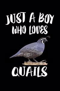 Just A Boy Who Loves Quail
