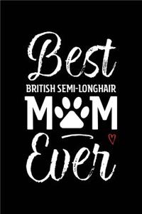 Best British Semi-Longhair Mom Ever
