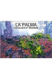 Palma Aiguilles et Mousses 2017