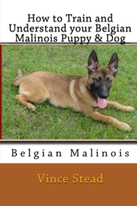 How to Train and Understand your Belgian Malinois Puppy & Dog