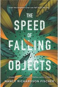 Speed of Falling Objects