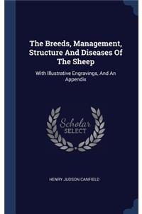 The Breeds, Management, Structure And Diseases Of The Sheep