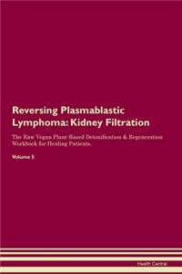 Reversing Plasmablastic Lymphoma: Kidney Filtration The Raw Vegan Plant-Based Detoxification & Regeneration Workbook for Healing Patients.Volume 5