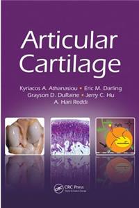 Articular Cartilage