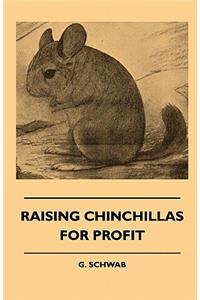 Raising Chinchillas For Profit