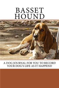 Basset Hound