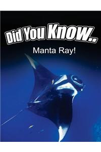 Manta Ray