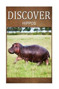 Hippos - Discover