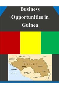 Business Opportunities in Guinea