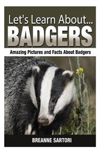Badgers: Amazing Pictures and Facts about Badgers