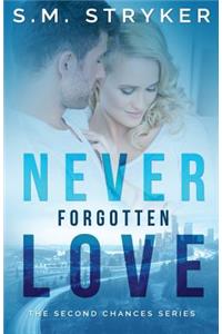 Never Forgotten Love: A Story of Second Chances