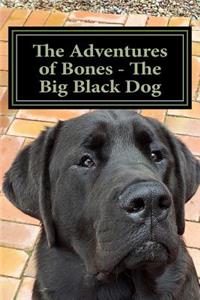 Adventures of Bones - The Big Black Dog