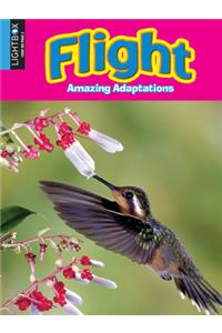 Flight
