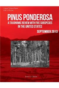 Pinus ponderosa