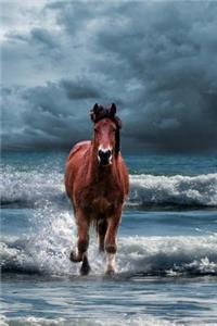 The Konik Horse Journal