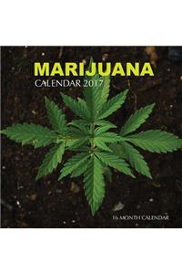 Marijuana Calendar 2017