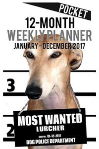 2017 Pocket Weekly Planner - Most Wanted Lurcher