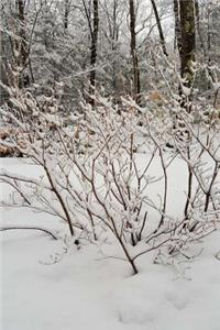 Journal Winter Storm Scenic