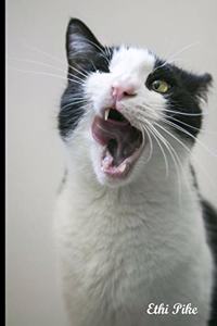 Ethi Pike - Funny Cat Notebook