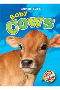 Baby Cows