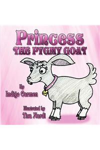 Princess the Pygmy Goat