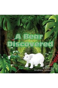 A Bear Discovered