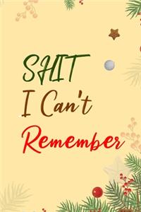 Shit I Can't Remember