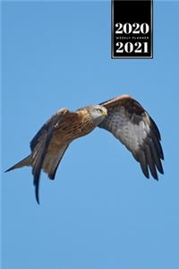 Falcon Hawk Bird Watching Ornithology Week Planner Weekly Organizer Calendar 2020 / 2021 - Wings Down