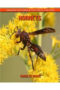 Hornets