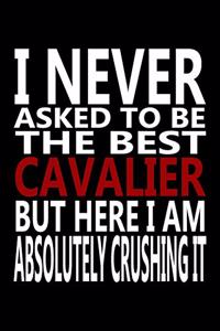 I never asked to be The Best Cavalier, But Here I am Absolutely Crushing it