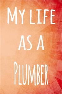 My Life as a Plummer