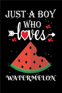 Just a Boy Who Loves Watermelon
