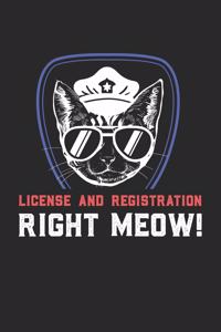 License And Registration RIGHT MEOW
